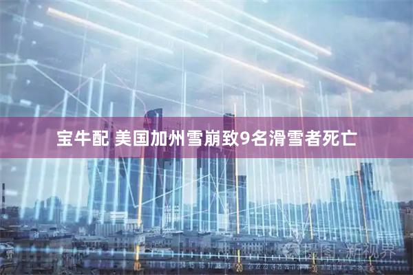 宝牛配 美国加州雪崩致9名滑雪者死亡