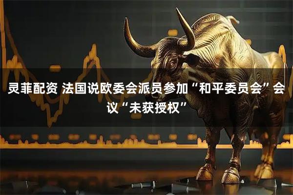 灵菲配资 法国说欧委会派员参加“和平委员会”会议“未获授权”
