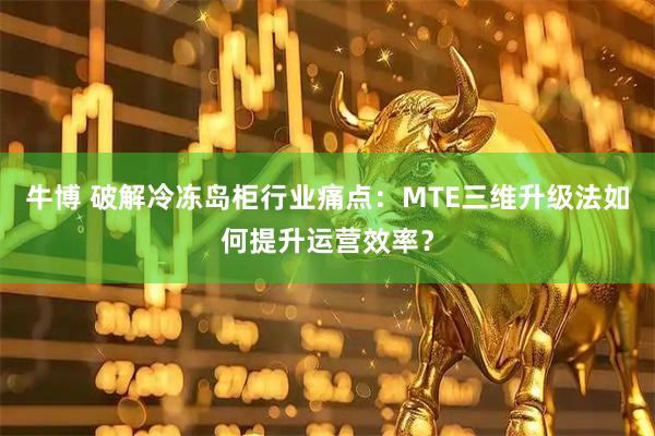 牛博 破解冷冻岛柜行业痛点:MTE三维升级法如何提升运营效率?
