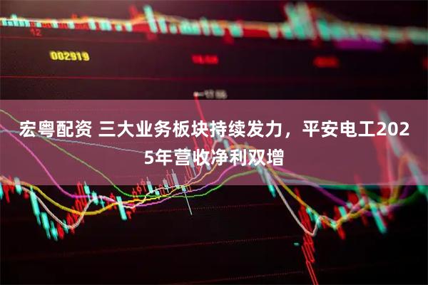 宏粤配资 三大业务板块持续发力,平安电工2025年营收净利双增