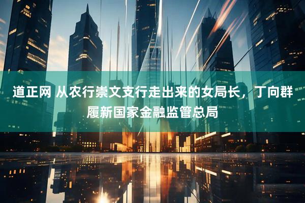 道正网 从农行崇文支行走出来的女局长，丁向群履新国家金融监管总局