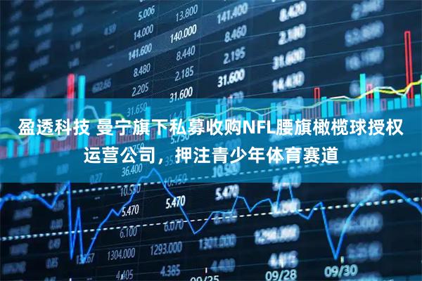 盈透科技 曼宁旗下私募收购NFL腰旗橄榄球授权运营公司，押注青少年体育赛道