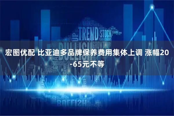宏图优配 比亚迪多品牌保养费用集体上调 涨幅20-65元不等