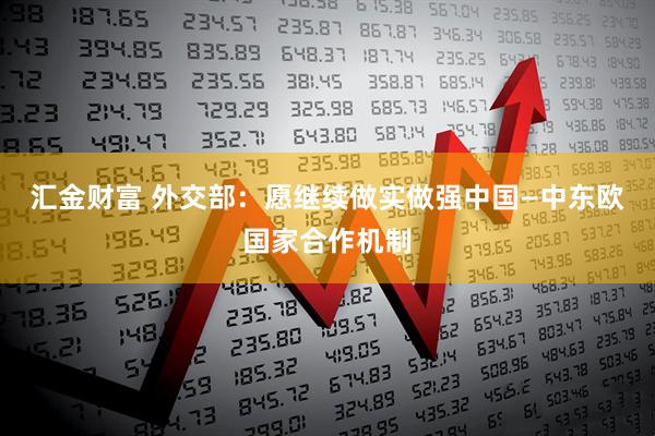 汇金财富 外交部：愿继续做实做强中国—中东欧国家合作机制