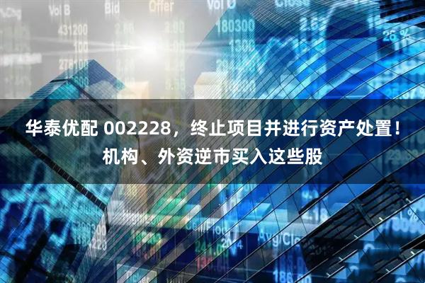 华泰优配 002228，终止项目并进行资产处置！机构、外资逆市买入这些股